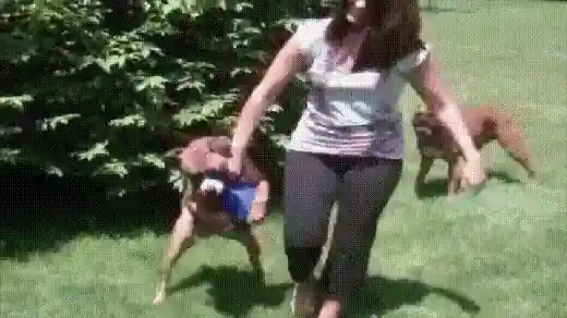 00-1.gif