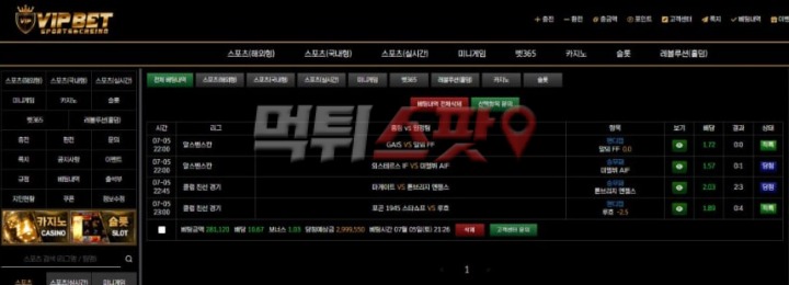브이아이피벳 300만원 먹튀! 사람 골탕 먹이는 악질 업체