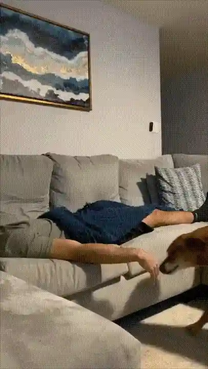 01.gif