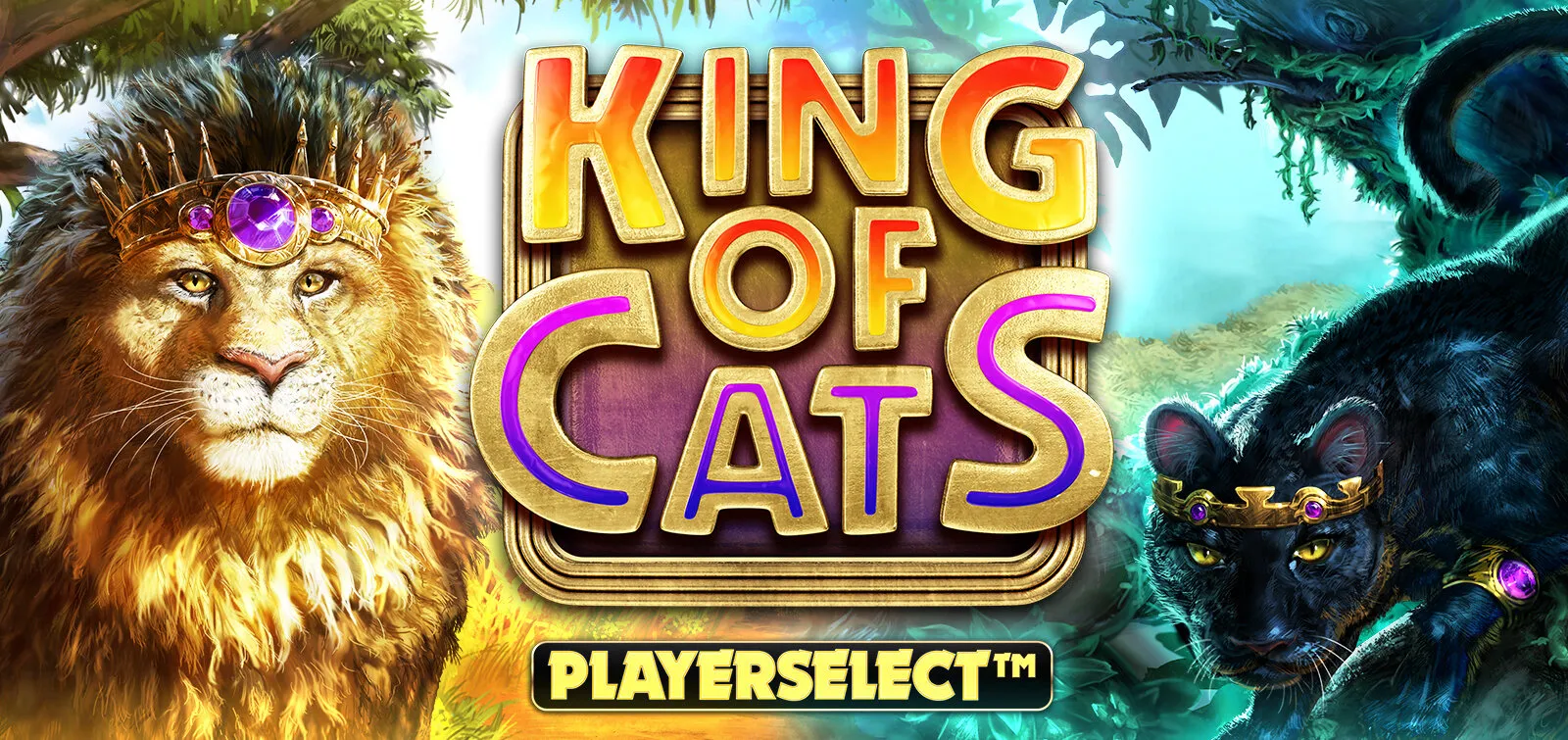 King of Cats Megaways: 슬롯게임 리뷰