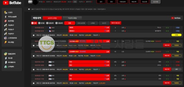2회 이상 환전은 사실상 불가한 먹튀사이트 벳튜브