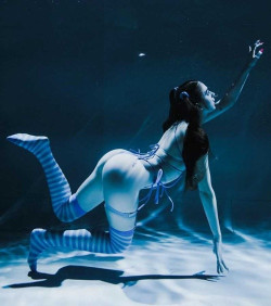 이런거 정말 너무 좋다