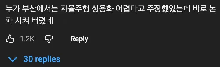 부산의 복잡한 도로에서 테슬라 자율주행으로 돌아다니면 일어나는 일 관련 이미지 3