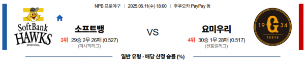 6월 11일 NPB 소프트뱅 vs 요미우리