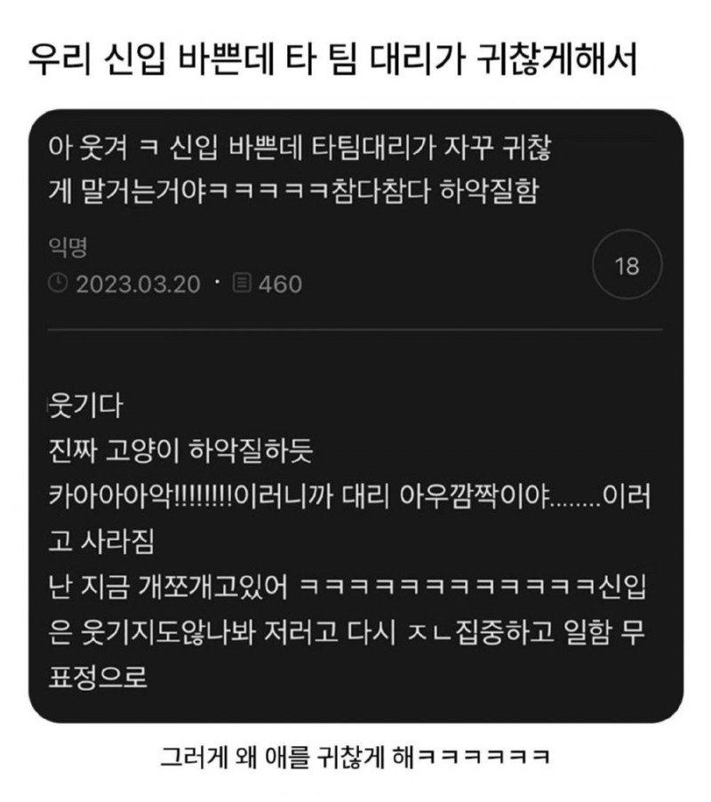 신입 바쁜데 타 팀 대리가 귀찮게해서