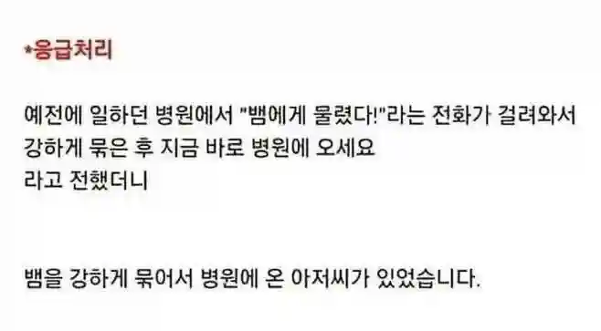뱀.jpg
