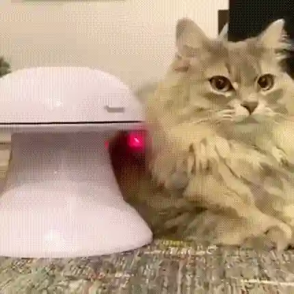 00-3.gif
