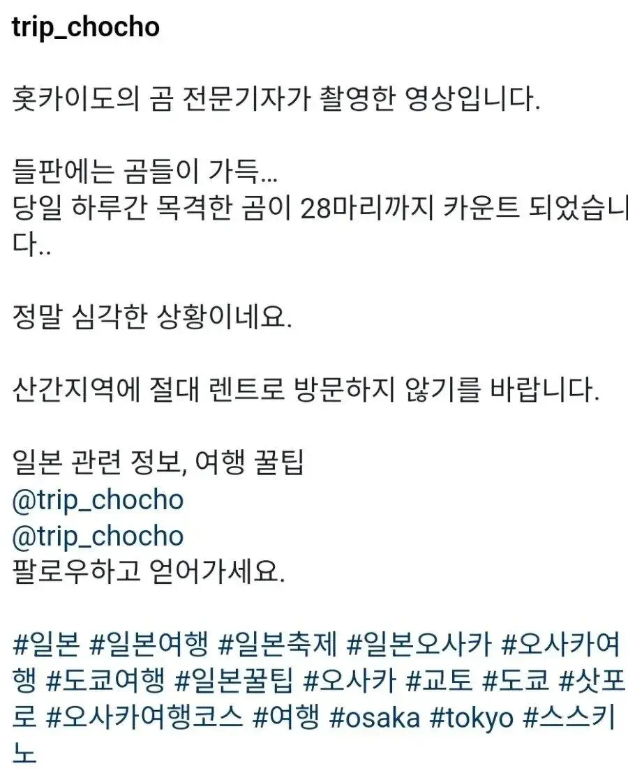 곰이 ㅈㄴ 많다는 충격적인 일본 홋카이도 근황 관련 이미지 1