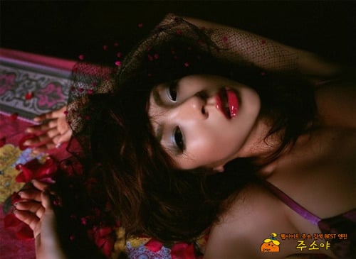 배우 호시노 아키