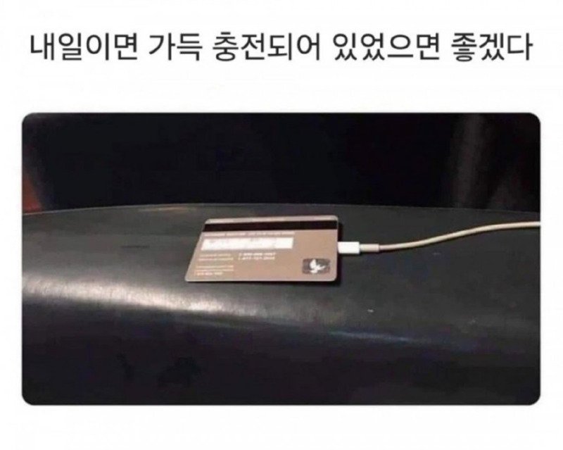 충전 되었으면 좋겠다 ㅋㅋㅋㅋㅋ