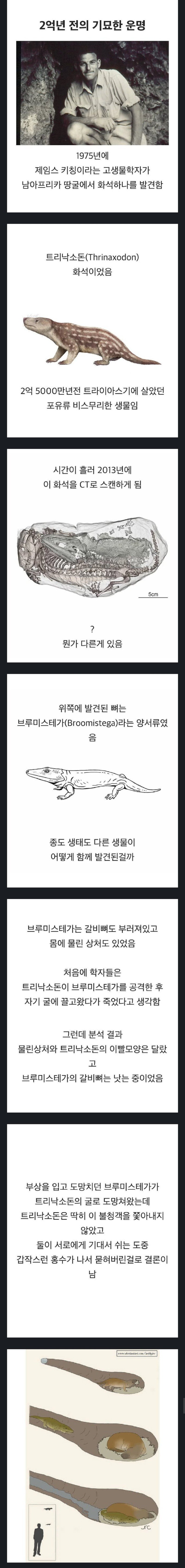 2억년을 너의 옆에서