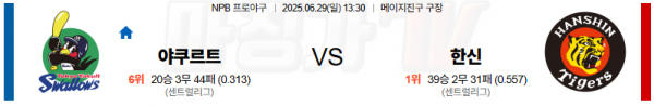 6월 29일 NPB 야쿠르트 vs 한신