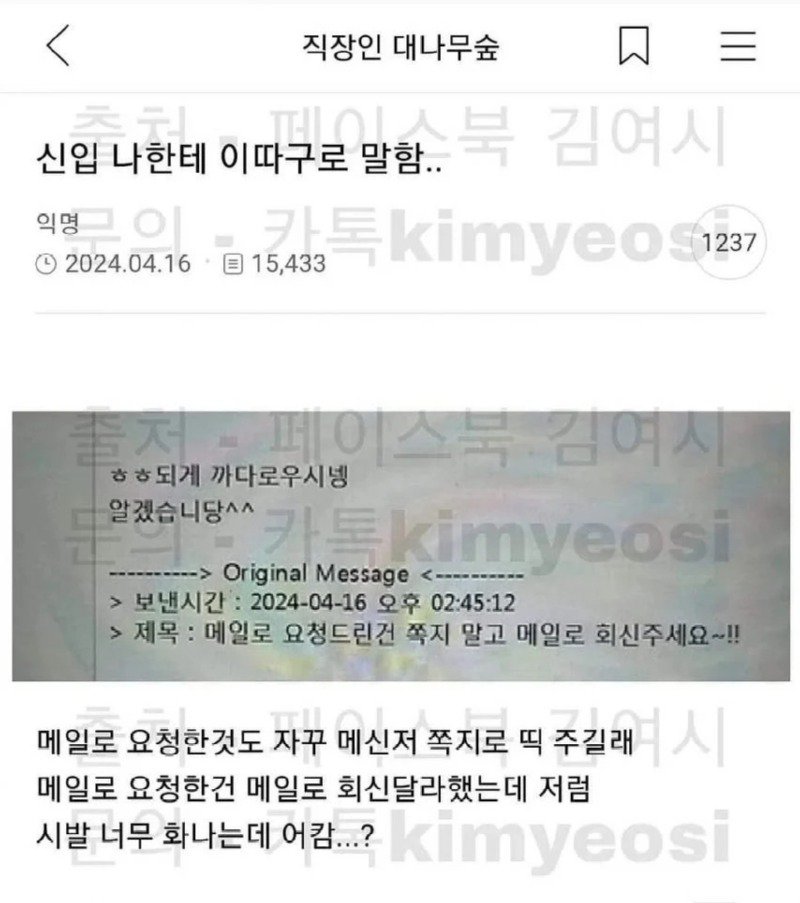 신입이 나한테 이따구로 말함.jpg