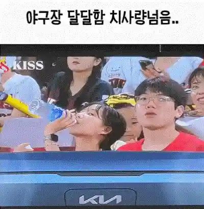 1.gif