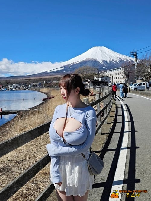 후지산의 사이즈