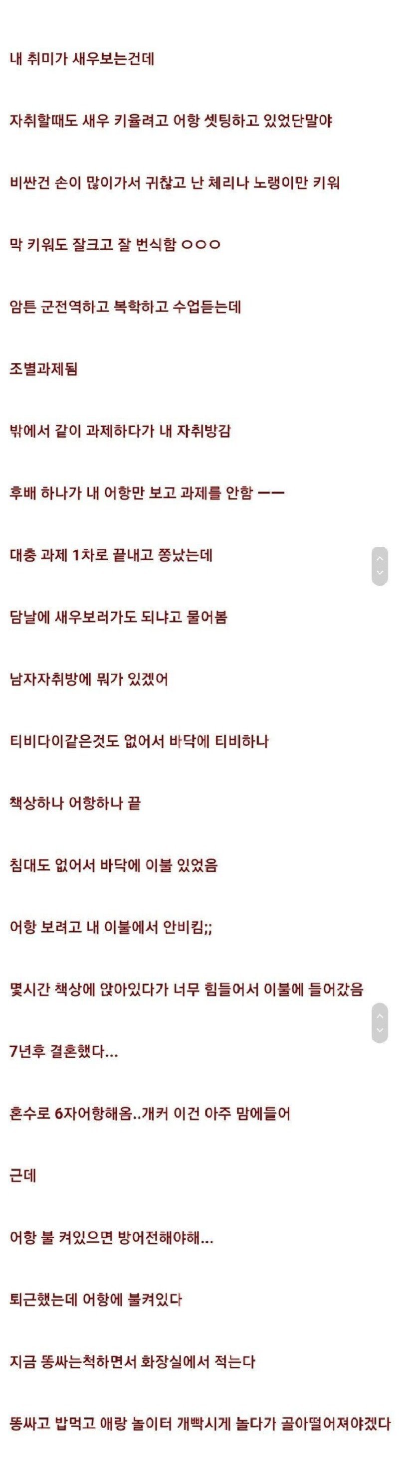 자취하면서 어항 설치하면 안되는 이유