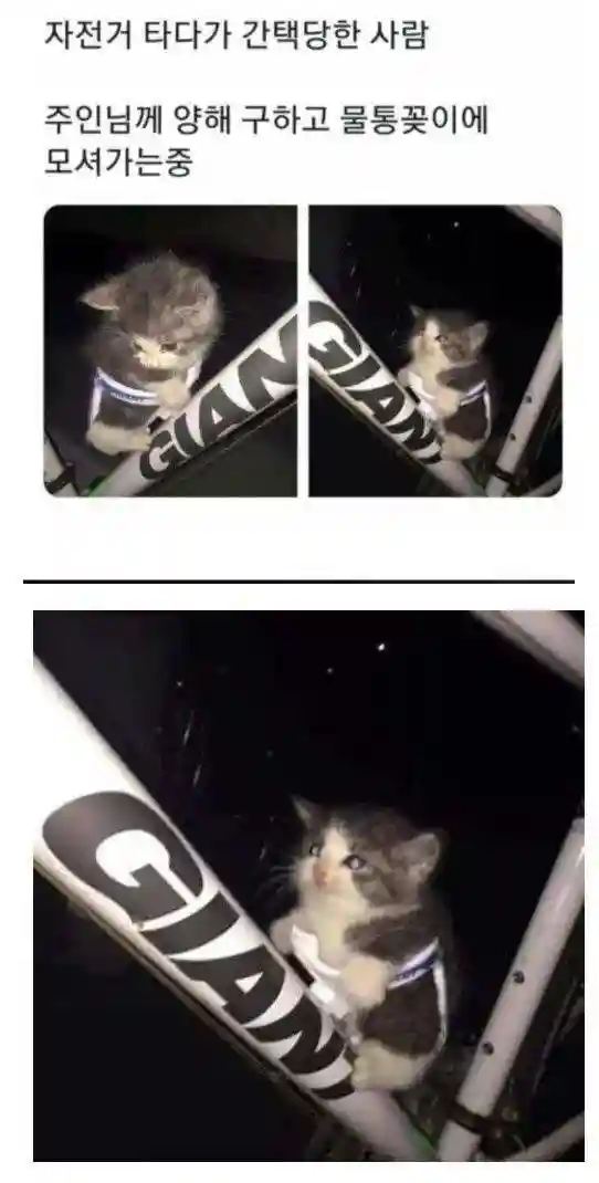 DAwZ1777650154_304011301.jpg