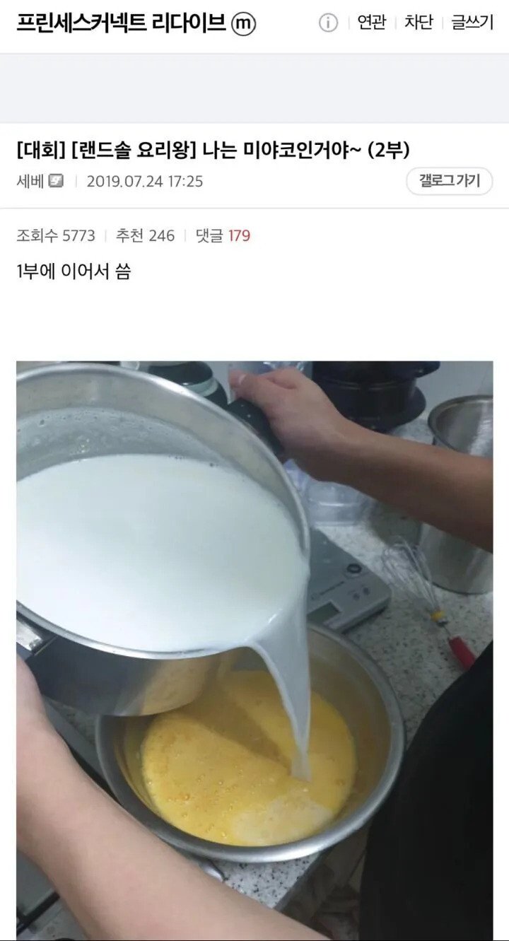 어느 디시인의 수제 대형 푸딩 수준